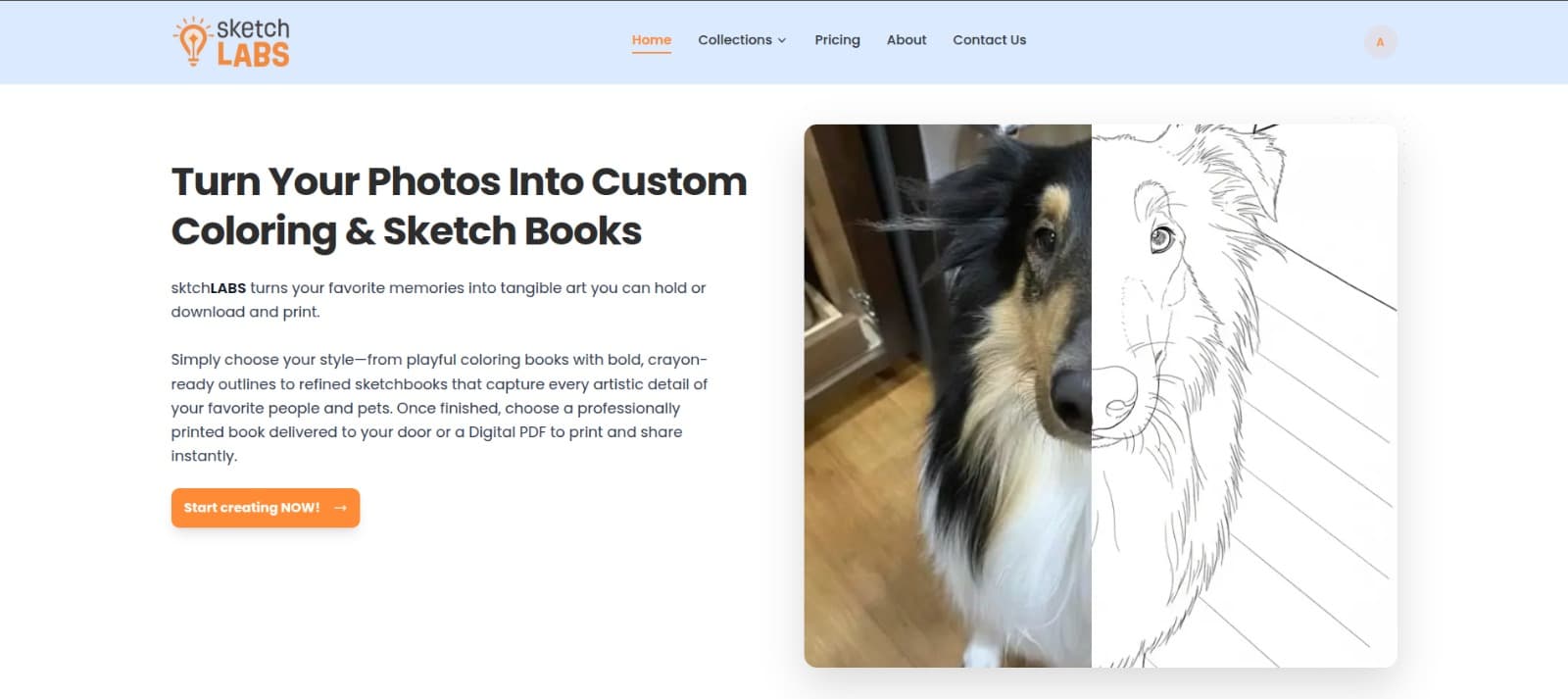 sktchLABS homepage showing a photo transformed into line art
